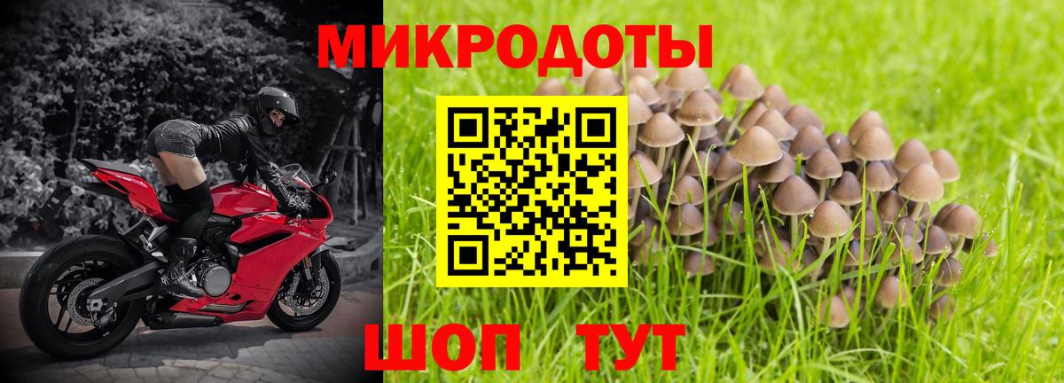 Котовск  Галлюциногенные грибы Cubensis  как найти   Вход с VPN 